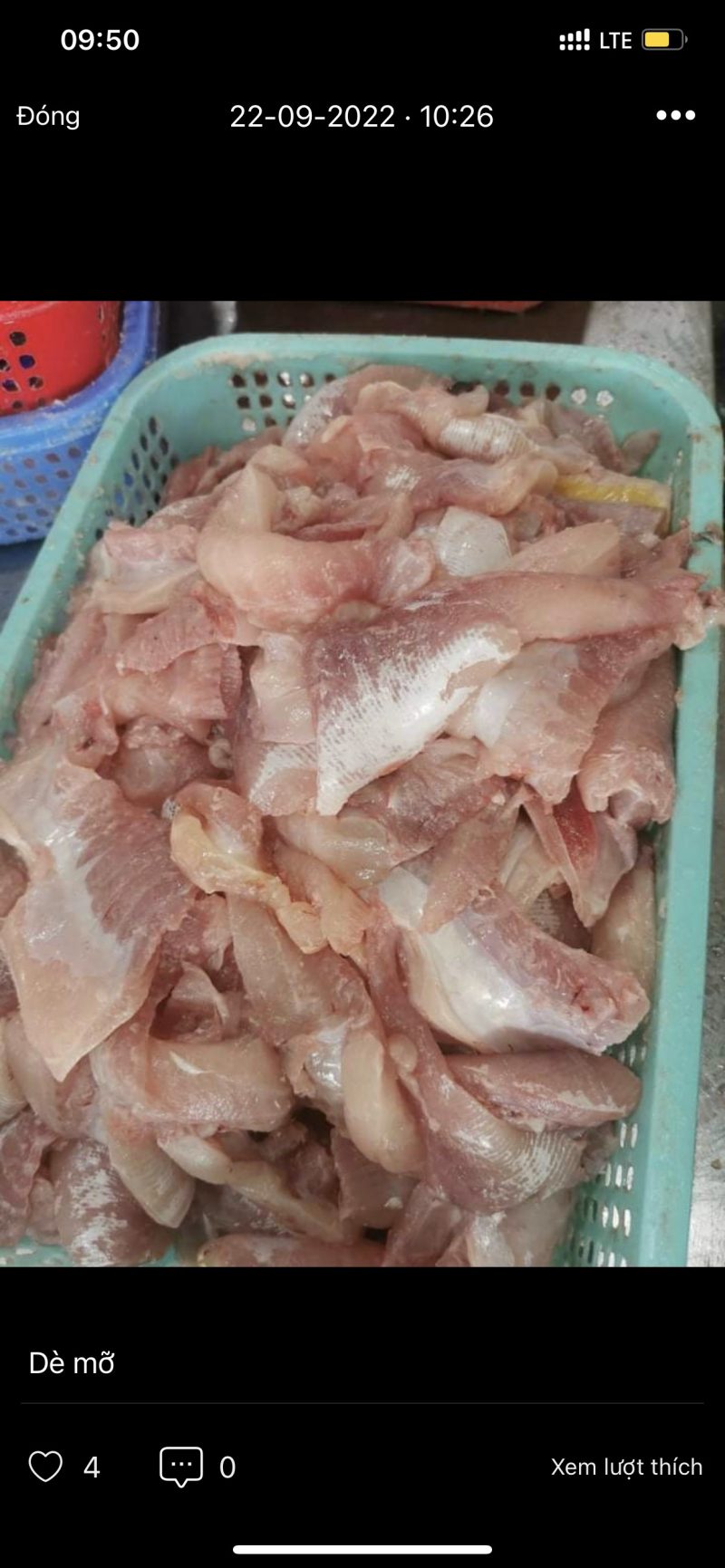 Dè Mỡ Basa